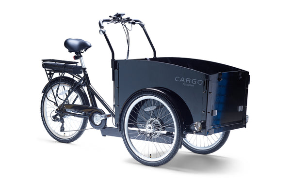 Child transporter tricycle on sale