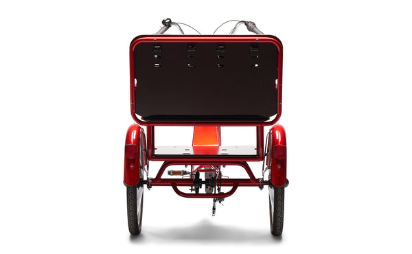 Buddy trike for sale top