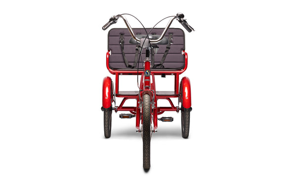 Buddy trike for best sale sale