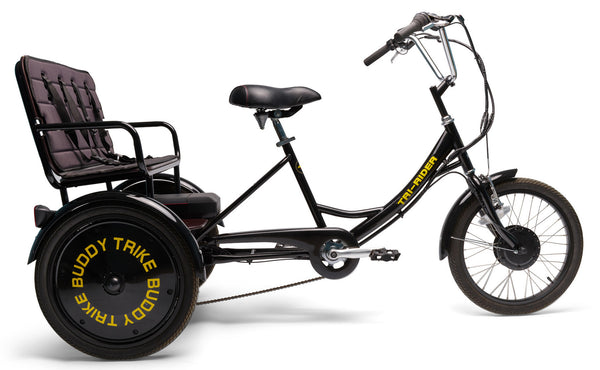 Buddy trike sale