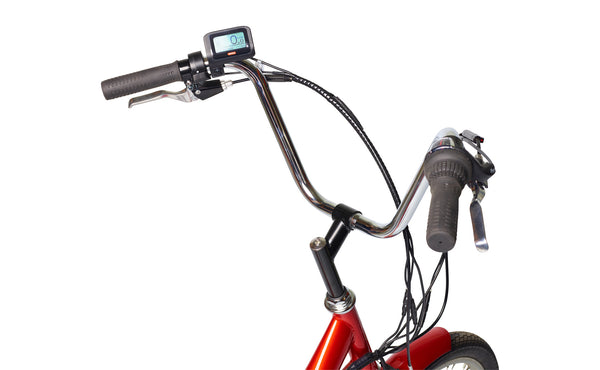 Buddy best sale trike electric
