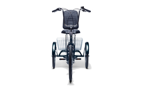 Belize trike hotsell