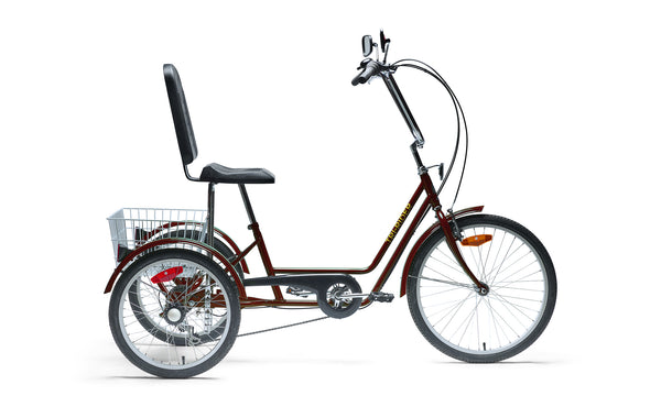 Tri rider outlet electric tricycle