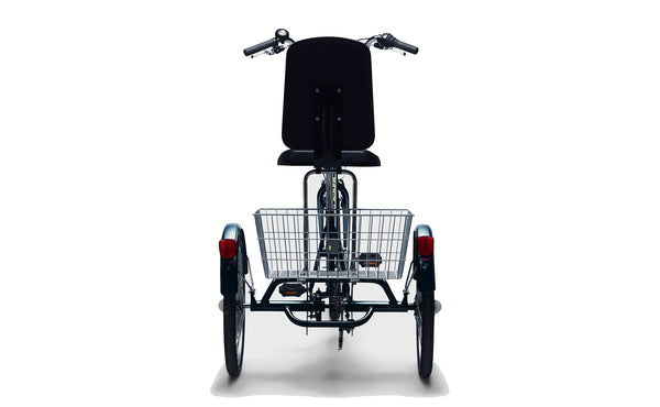 Comfort trike sales