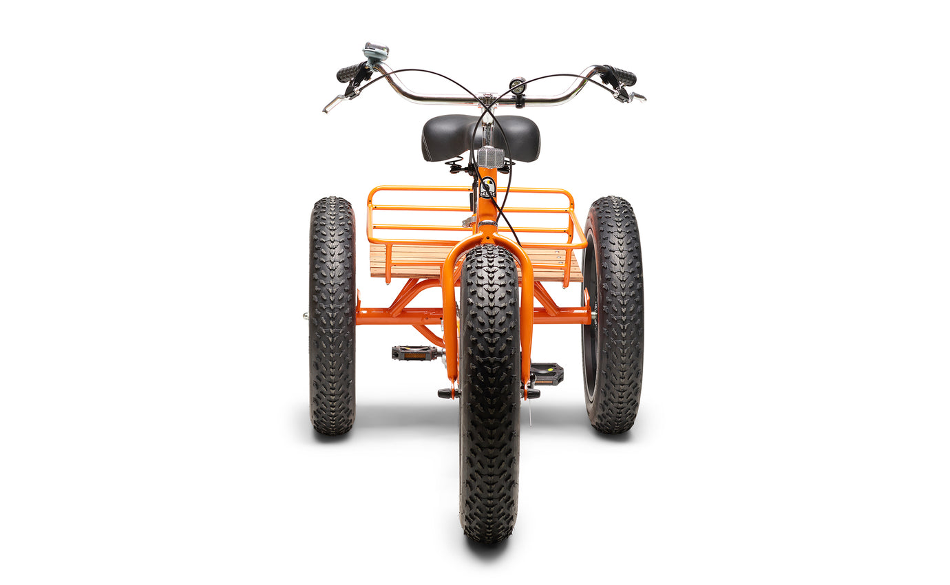 Fat tire 3 wheel bike online