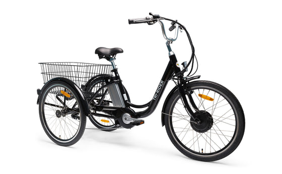 Belize Bike Buddy Tri-Rider 20 Adaptive Electric Trike 96604 [PREORDE –  Epic Wheelz